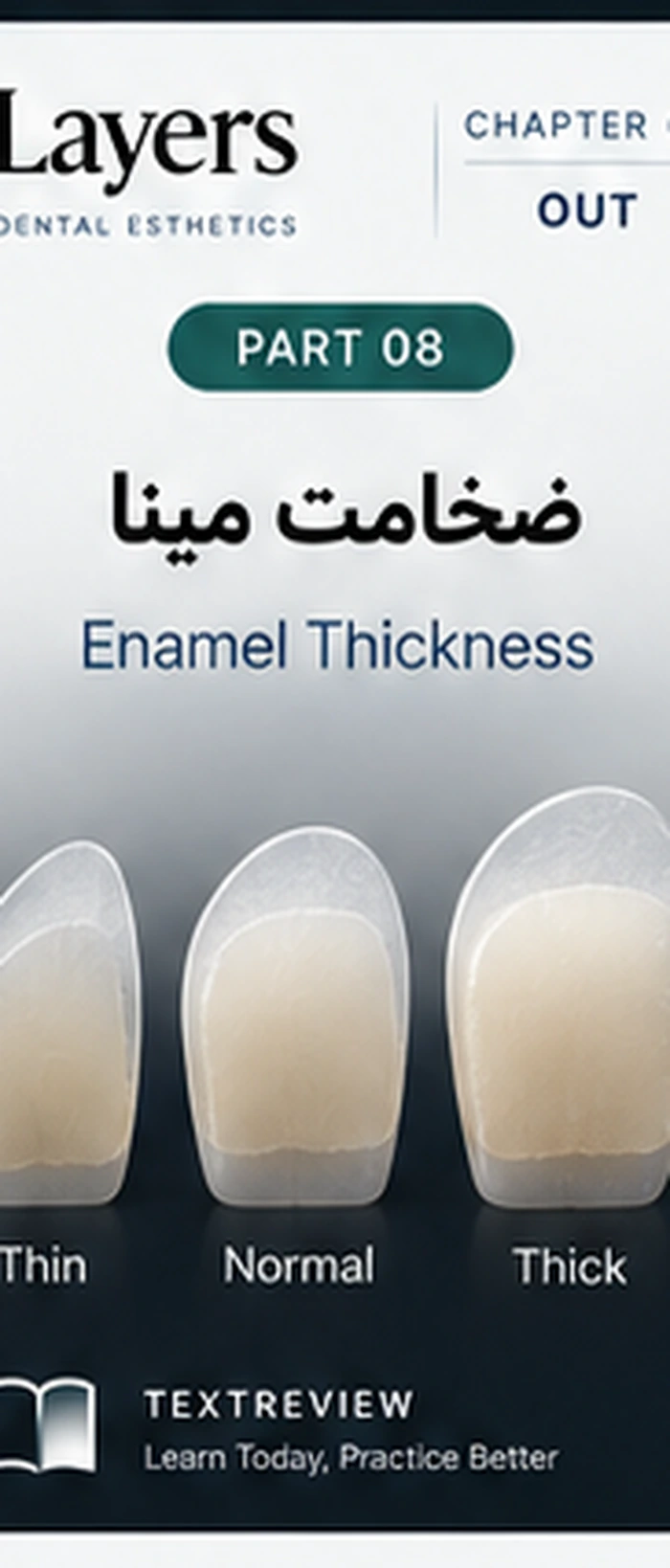 ضخامت مینا؛ ولیو، اپسیتی و اپلسنسی
