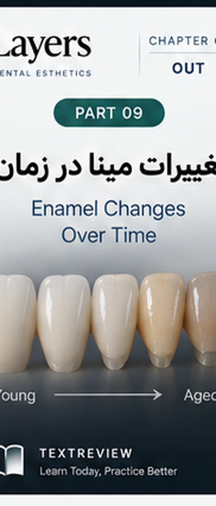 تغییرات مینا با افزایش سن و مینرالیزاسیون