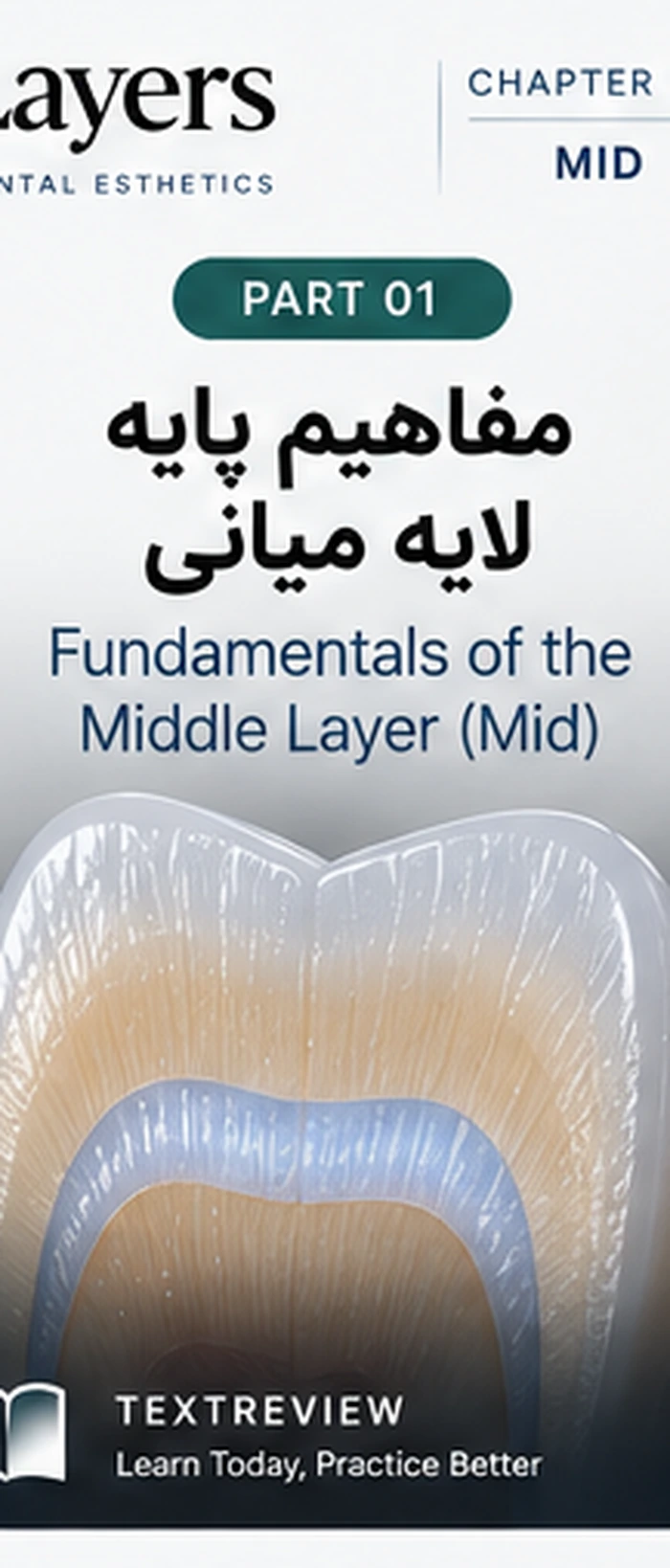 لایه میانی Mid؛ Intensive، اپلسنسی و Characterization